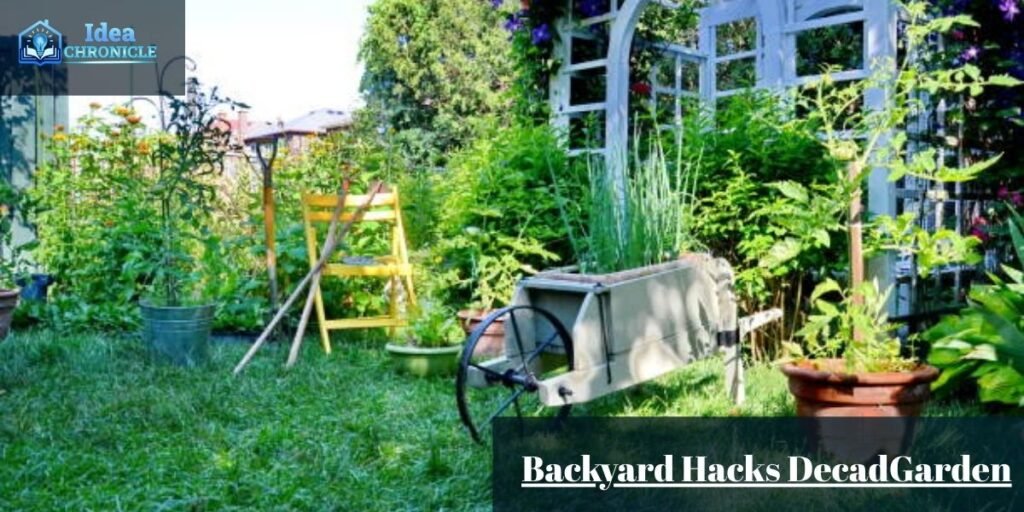 Backyard Hacks DecadGarden