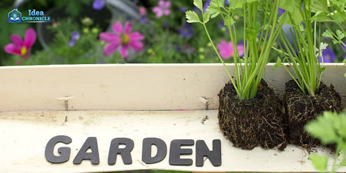 Garden Hacks DecadGarden